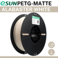 eSun PETG-Matte